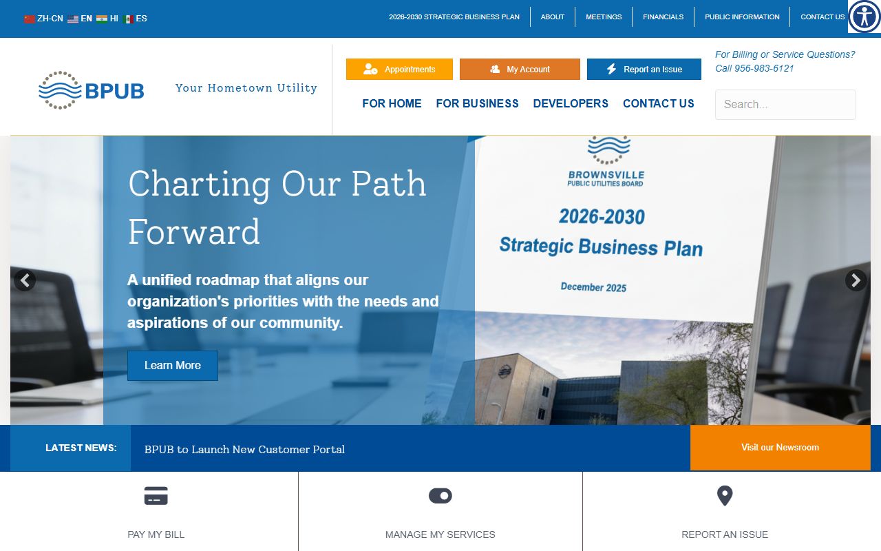 Brownsville public services portal for traffic ticket and citation records