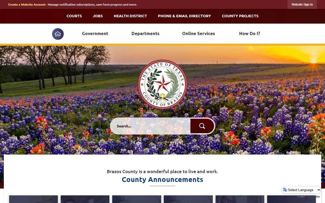 Brazos County Texas traffic ticket records county online portal