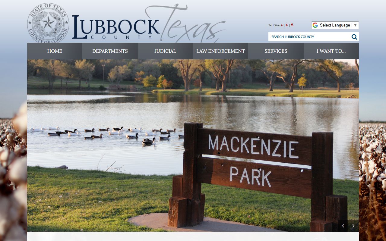 Lubbock County online portal for traffic ticket records