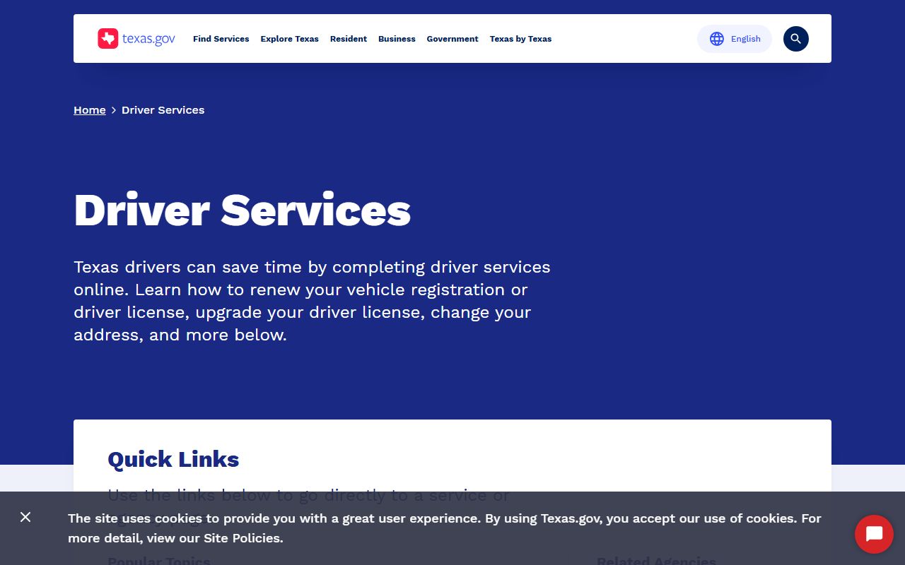 Texas driver services portal for accessing driving records related to traffic tickets